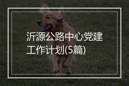 沂源公路中心党建工作计划(5篇)