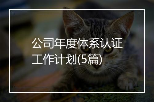 公司年度体系认证工作计划(5篇)