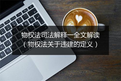 物权法司法解释一全文解读(物权法关于违建的定义)