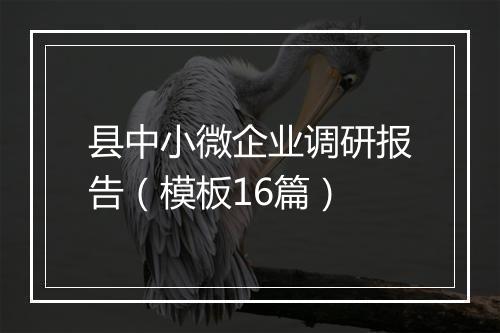 县中小微企业调研报告(模板16篇)