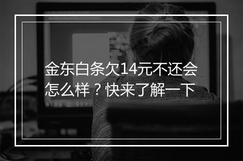 金东白条欠14元不还会怎么样?快来了解一下