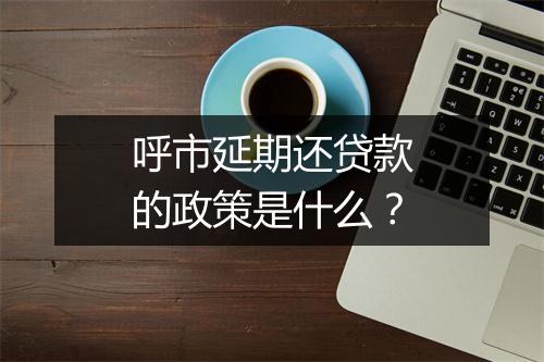 呼市延期还贷款的政策是什么?