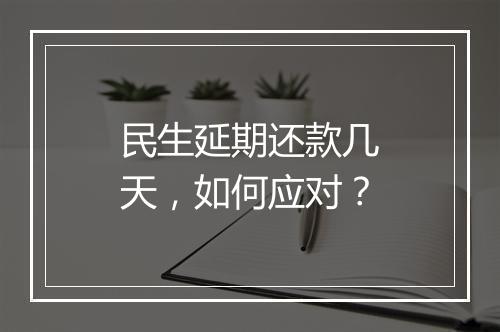 民生延期还款几天,如何应对?