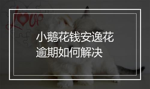 小鹅花钱安逸花逾期如何解决