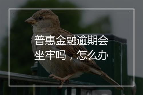 普惠金融逾期会坐牢吗,怎么办