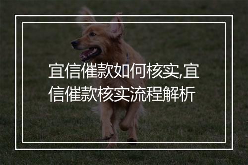 宜信催款如何核实,宜信催款核实流程解析