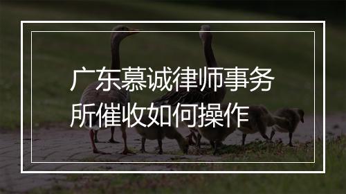 广东慕诚律师事务所催收如何操作