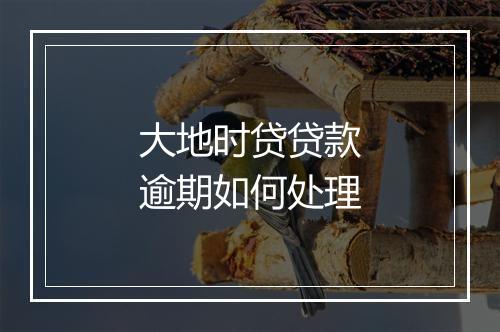 大地时贷贷款逾期如何处理