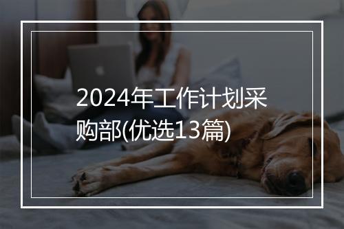 2024年工作计划采购部(优选13篇)