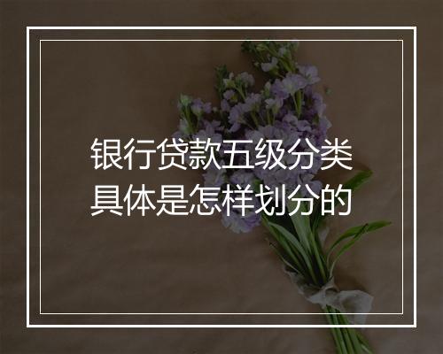 银行贷款五级分类具体是怎样划分的