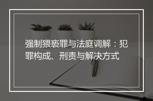 强制猥亵罪与法庭调解:犯罪构成、刑责与解决方式