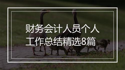 财务会计人员个人工作总结精选8篇