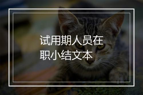试用期人员在职小结文本