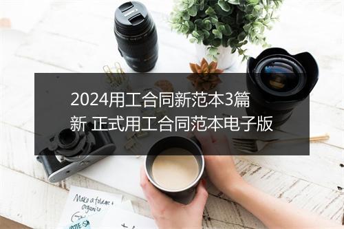 2024用工合同新范本3篇新 正式用工合同范本电子版