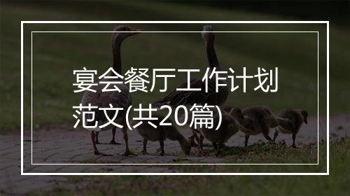 宴会餐厅工作计划范文(共20篇)