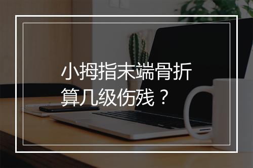 小拇指末端骨折算几级伤残?
