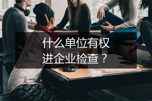 什么单位有权进企业检查?