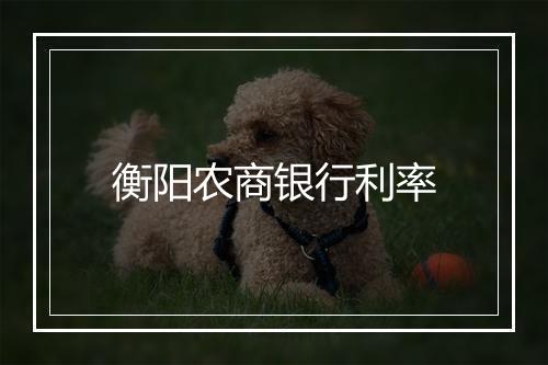 衡阳农商银行利率