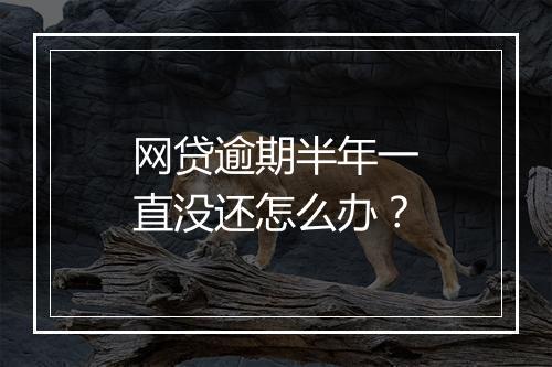 网贷逾期半年一直没还怎么办?