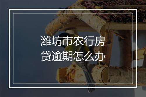 潍坊市农行房贷逾期怎么办