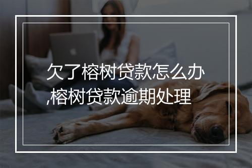 欠了榕树贷款怎么办,榕树贷款逾期处理
