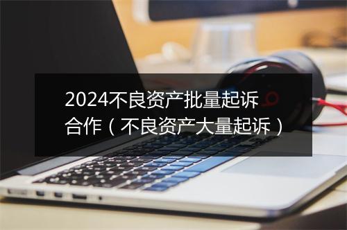 2024不良资产批量起诉合作(不良资产大量起诉)