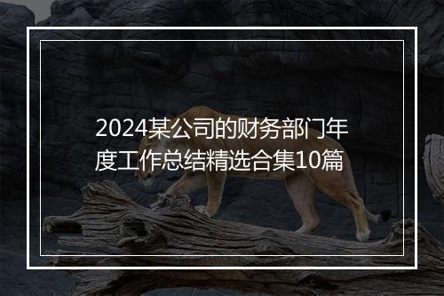 2024某公司的财务部门年度工作总结精选合集10篇