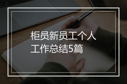 柜员新员工个人工作总结5篇