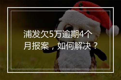 浦发欠5万逾期4个月报案,如何解决?