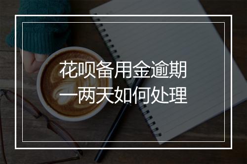 花呗备用金逾期一两天如何处理