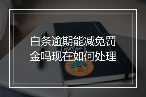 白条逾期能减免罚金吗现在如何处理