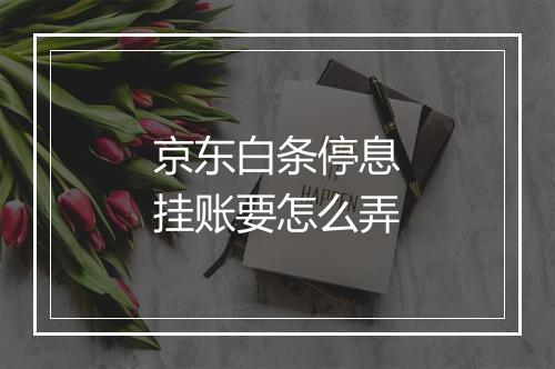 京东白条停息挂账要怎么弄