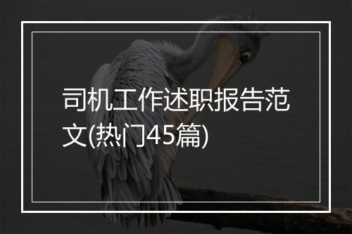 司机工作述职报告范文(热门45篇)