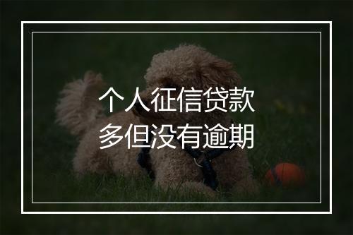 个人征信贷款多但没有逾期