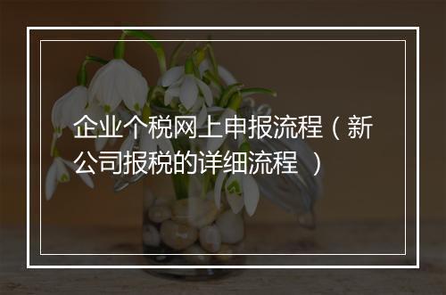 企业个税网上申报流程(新公司报税的详细流程 )