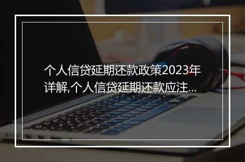 个人信贷延期还款政策2023年详解,个人信贷延期还款应注意的事项