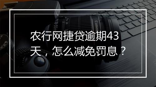 农行网捷贷逾期43天,怎么减免罚息?