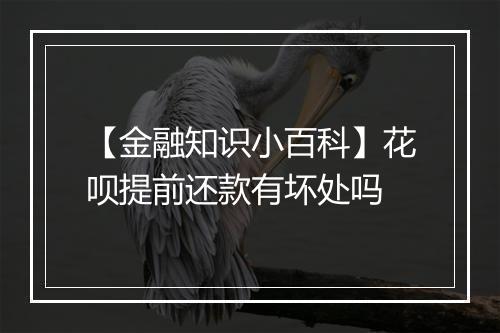 【金融知识小百科】花呗提前还款有坏处吗