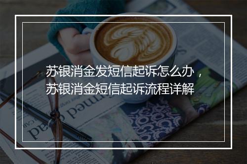 苏银消金发短信起诉怎么办,苏银消金短信起诉流程详解