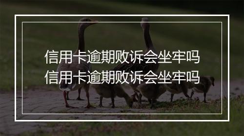 信用卡逾期败诉会坐牢吗信用卡逾期败诉会坐牢吗