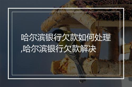 哈尔滨银行欠款如何处理,哈尔滨银行欠款解决