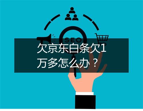 欠京东白条欠1万多怎么办?