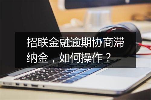 招联金融逾期协商滞纳金,如何操作?