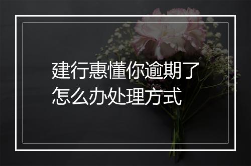 建行惠懂你逾期了怎么办处理方式
