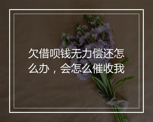 欠借呗钱无力偿还怎么办,会怎么催收我