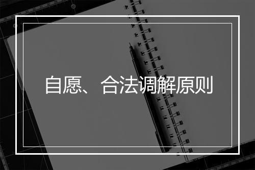 自愿、合法调解原则