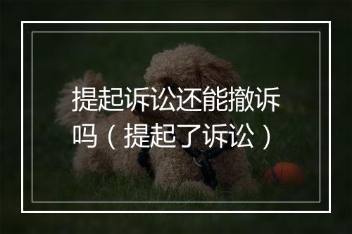 提起诉讼还能撤诉吗(提起了诉讼)