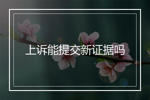 上诉能提交新证据吗