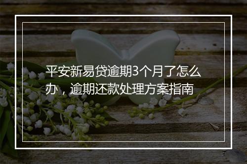 平安新易贷逾期3个月了怎么办,逾期还款处理方案指南