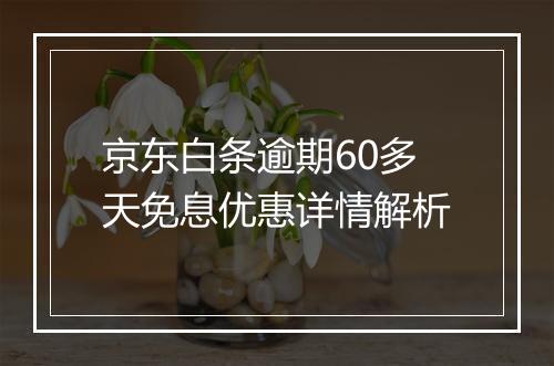 京东白条逾期60多天免息优惠详情解析